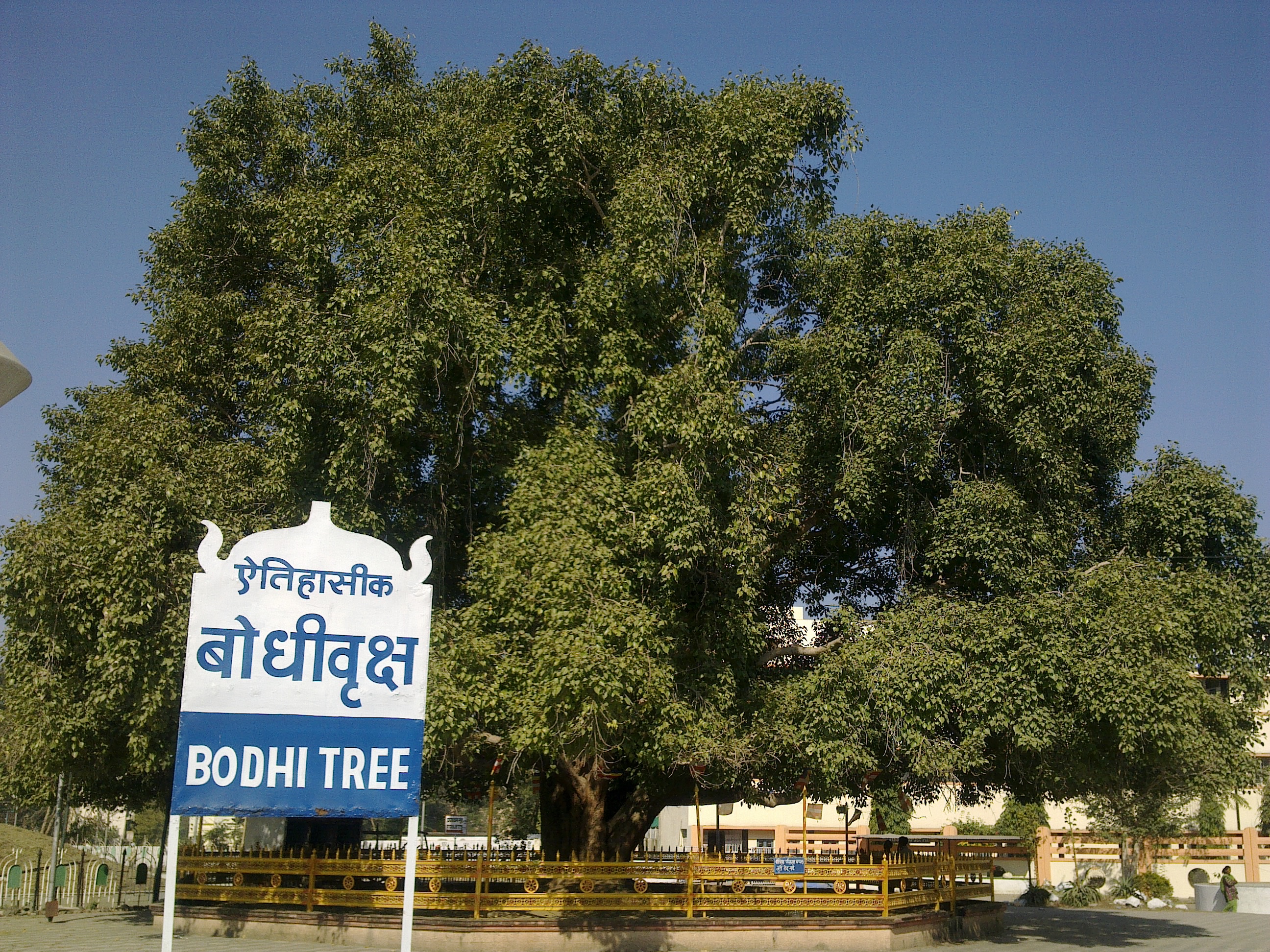 Bodh_gaya1